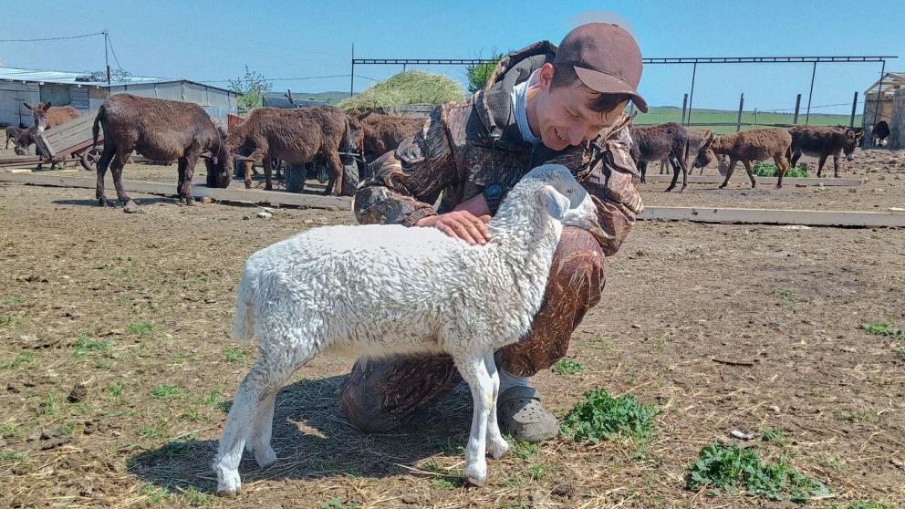 Ягнёнка приручил фермер в Изобильненском округе Ставрополья