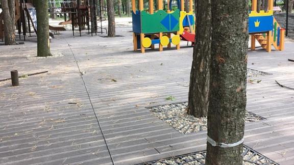 Благоустройство сквера Победы в Лермонтове выполнено на 90 процентов