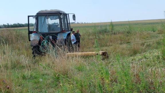 Более 25 тысяч кустов конопли уничтожили в Новоселицком округе Ставрополья