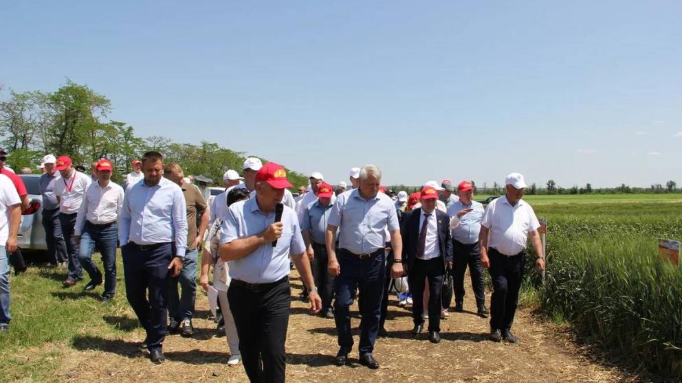 Облёт зерновых полей в преддверии жатвы прошёл на Ставрополье