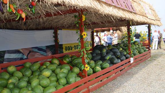 Как правильно выбрать арбуз?