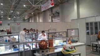 В Краснодар на V Национальный чемпионат WorldSkills Russia отправилась команда Ставрополья