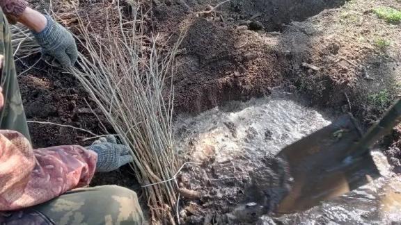 Губернатор Ставрополья рассказал о программе лесовосстановления в крае