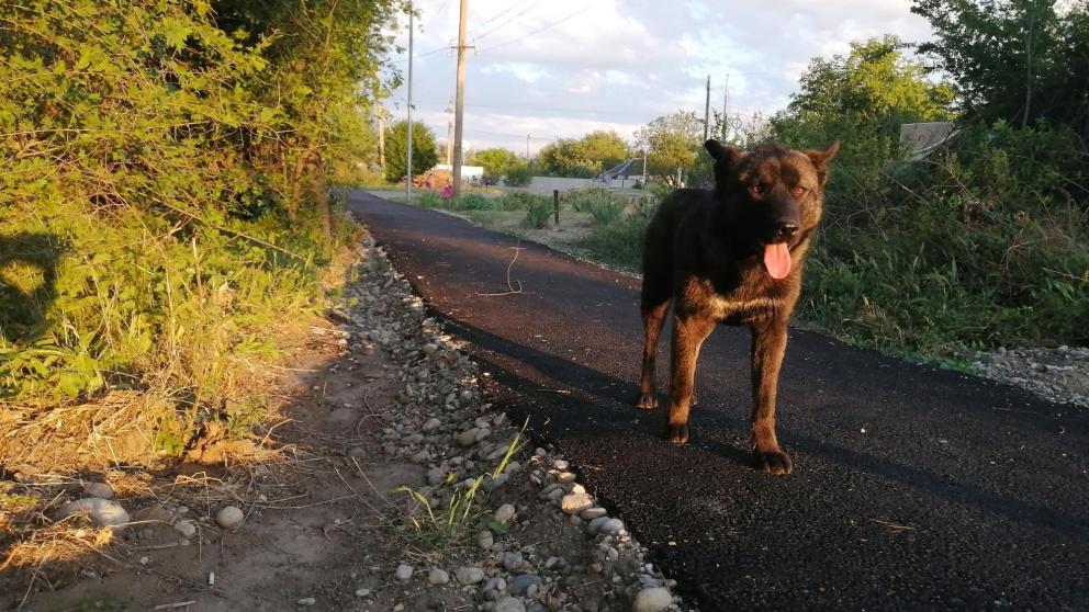 В Предгорном округе Ставрополья по просьбам жителей обустроят тротуар