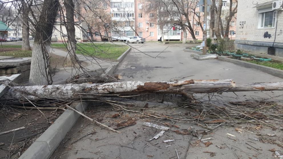 Коммунальщики Невинномысска устраняют последствия шквалистого ветра