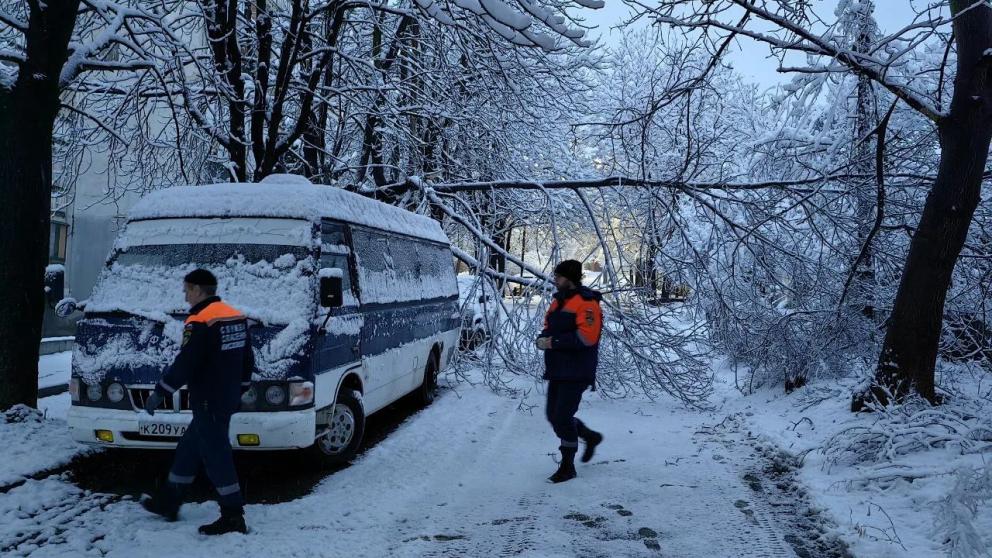 В Кисловодске из-за сильного снегопада упали четыре дерева