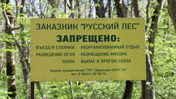 Шашлыки на природе - угроза окружающей среде