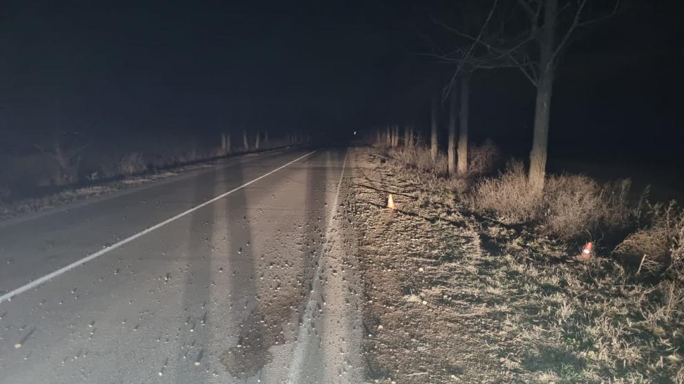 Неизвестный водитель бросил раненую пассажирку после ДТП на трассе на Ставрополье