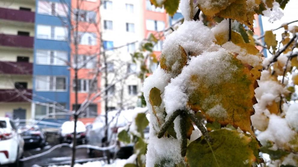 На следующий неделе на Ставрополье ожидаются заморозки