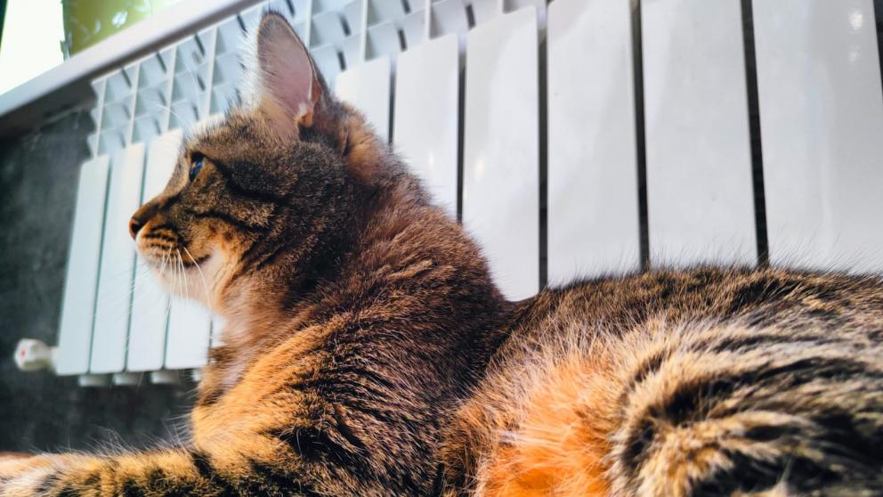 Отопительный сезон в Невинномысске завершат 17 апреля