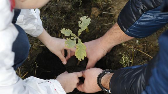 В хуторе Спорном на Ставрополье благоустроят парк