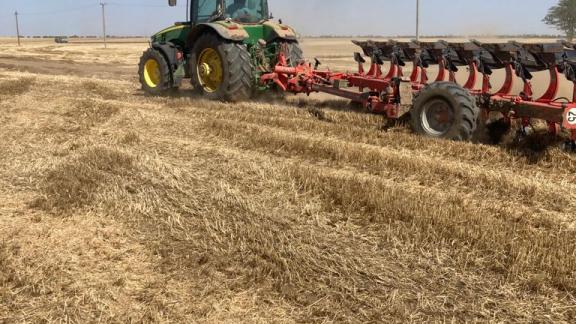 Нефтекумский округ Ставрополья завершил обмолот зерновых