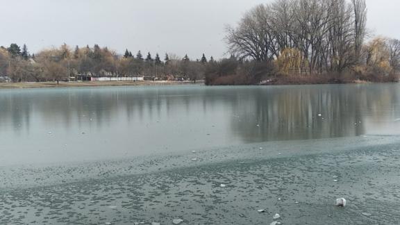 В Ессентуках экологи очистили территорию городского озера