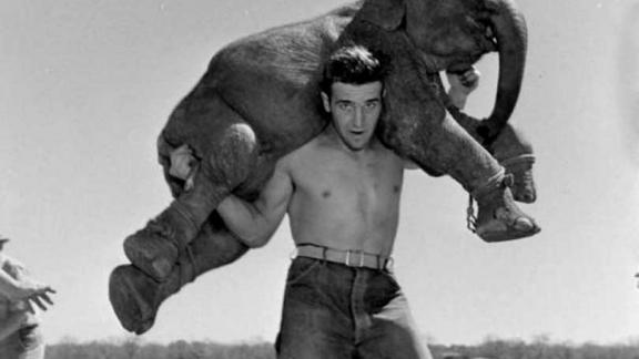 В Ставрополе проходит акция «Здоровый образ жизни в традициях моей семьи»