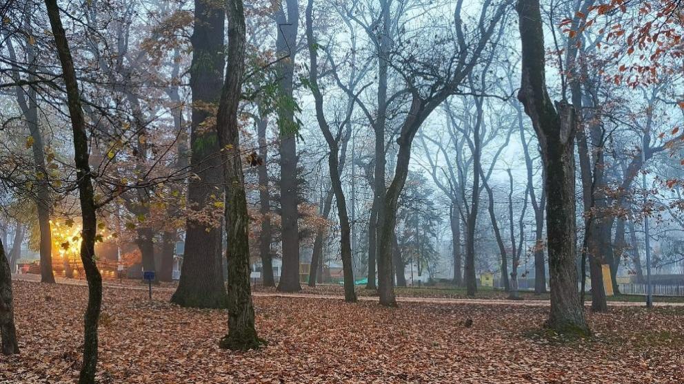 В селе Кугульта Грачёвского округа по нацпроекту благоустроили парковую зону