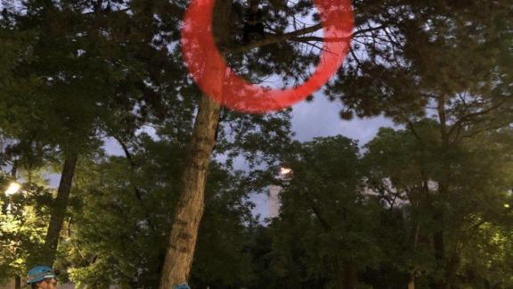 В Кисловодске спасатели сняли с дерева 11-летнего мальчика