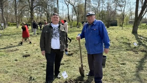 В Кочубеевском округе прошла акция «Сад памяти»