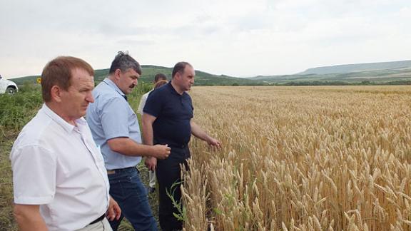 Глава минсельхоза края В. Ситников посетил ведущие хозяйства Андроповского района