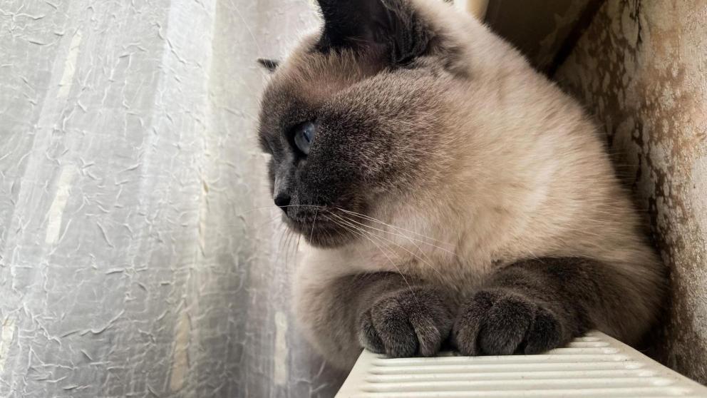 В квартире мобилизованного жителя Ставрополя наладили работу отопления