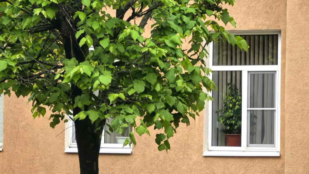 На Ставрополье в электронном виде провели 73 собрания собственников МКД