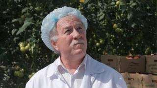 50% значимых для Ставрополья инвестпроектов приходится на АПК