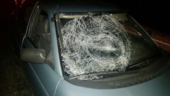 В Минераловодском районе скончался пешеход, вышедший на ночную дорогу