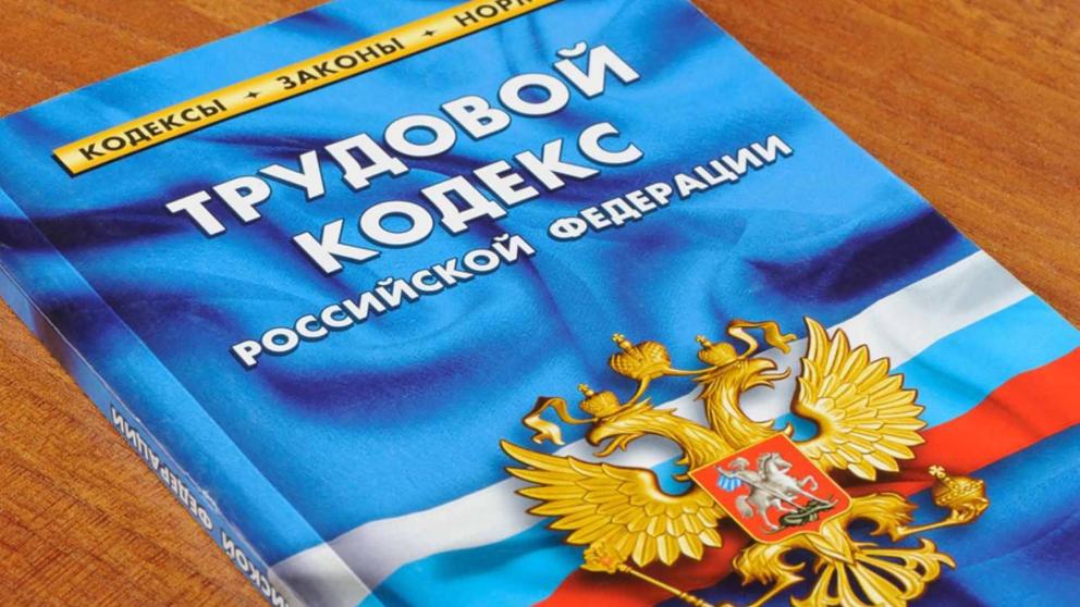 Государство поддержит работодателей, принявших на работу отдельные категории граждан
