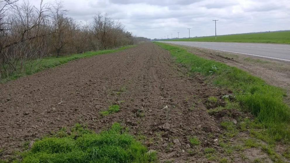 На Ставрополье стартовал сезон защиты лесов от пожаров