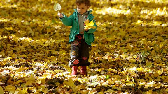 Как сделать Ставрополь действительно безопасным