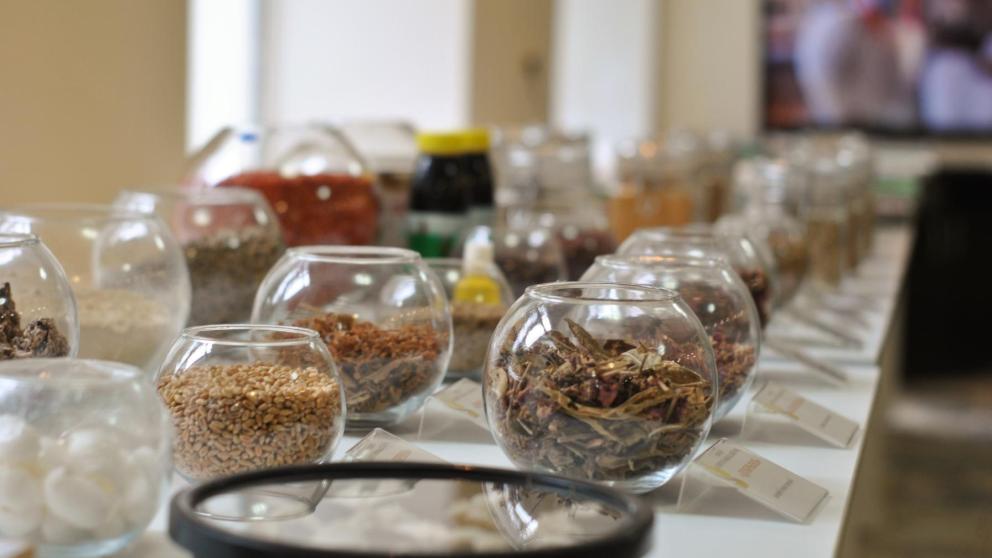 Николай Великдань: АПК Ставрополья кормит не только жителей края, но и всю страну