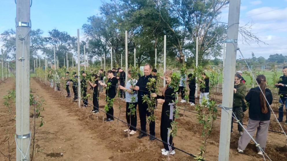 В новом Школьном саду села Манычского посадили около 500 яблонь