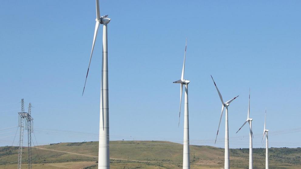 Кочубеевский округ Ставрополья хотят сделать самой зелёной территорией России