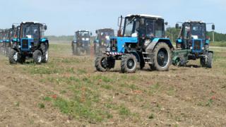 Ученики Казинской школы представляют Ставрополье на Всероссийском слете производственных бригад