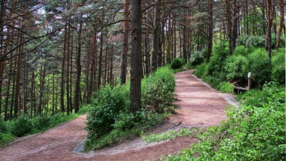 Первый многоуровневый терренкур России появился в Кисловодске 120 лет назад