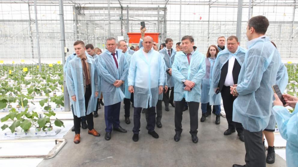 Ещё одну очередь круглогодичных теплиц запустят на Ставрополье