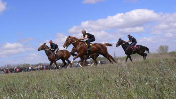 Конно-спортивные соревнования прошли в Дивном