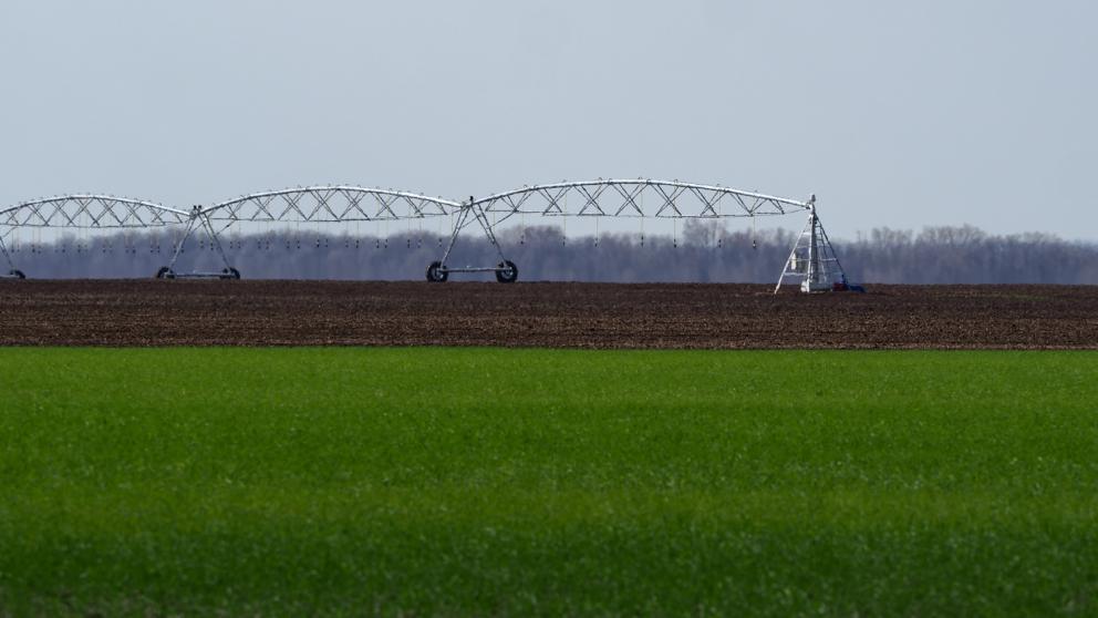 Сельхозкооператив на Ставрополье увеличил площадь орошаемых земель на 1100 гектаров