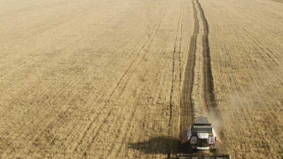 Жатва 2016: в Ставропольском крае обмолочено почти 90% уборочной площади