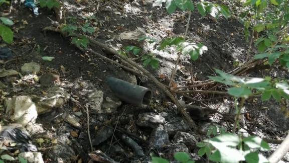 Минприроды Ставрополья: Гибели деревьев от сброса сточных вод в Каскадный ручей не выявлено