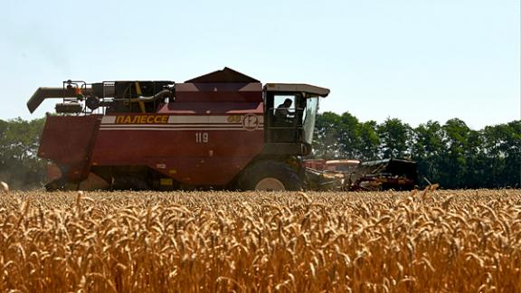 Жатва-2016: первый миллион тонн зерна собрали на Ставрополье