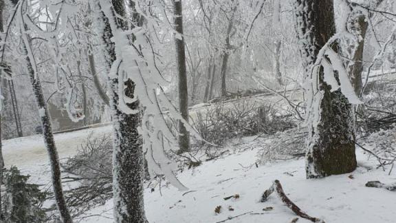В Железноводске продолжают расчистку завалов на терренкурах