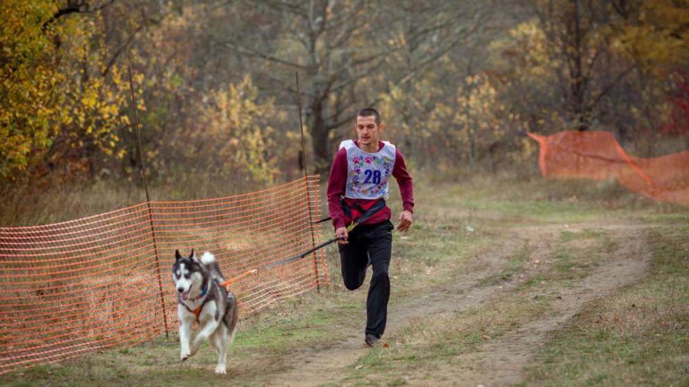 Ставропольчане и их собаки лучше всех выступили в осеннем драйленде