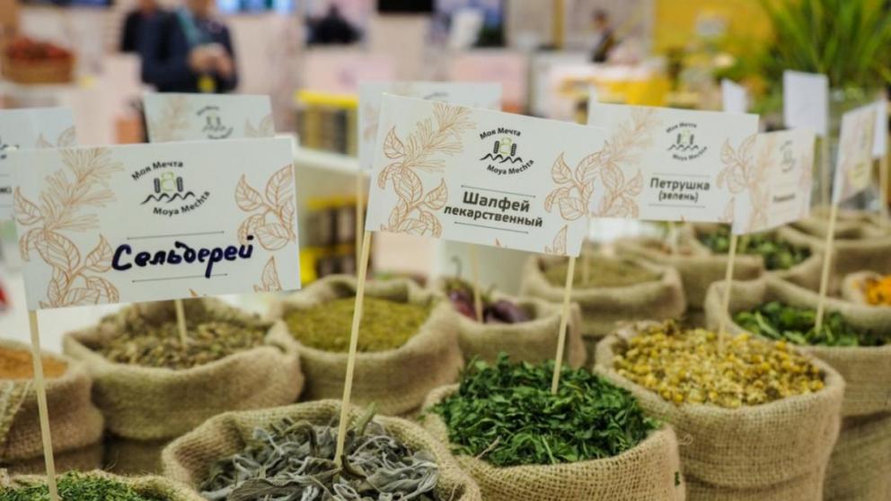 Ставропольские селекционеры вывели 15 новых сортов лекарственных и пряных культур