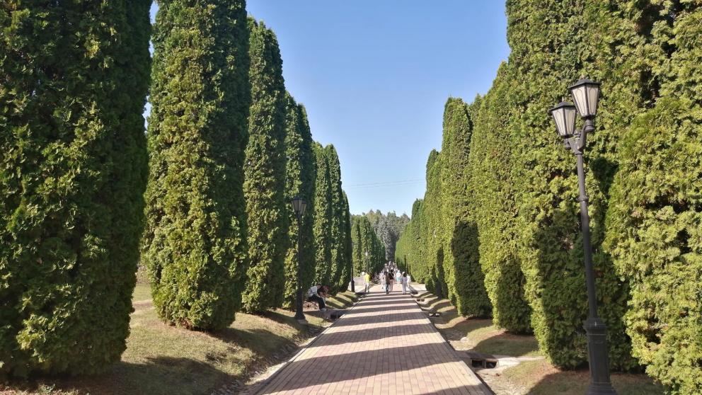 В Кисловодске для всех желающих организовали еженедельные тренировки по бегу