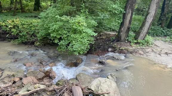 Волонтёры очистят береговые линии реки Члы в Ставрополе