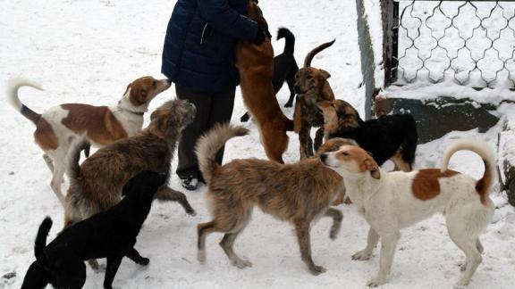 Может ли человек жалеть о сделанном добром деле?