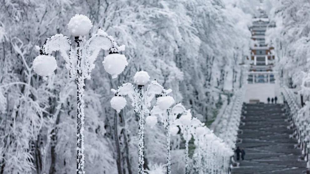 В Железноводске после обледенения открыли Курортный парк