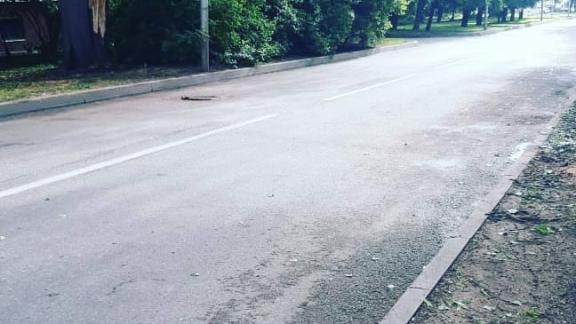 В Ставрополе из-за сильного ветра без света остались более 3,5 тысячи абонентов