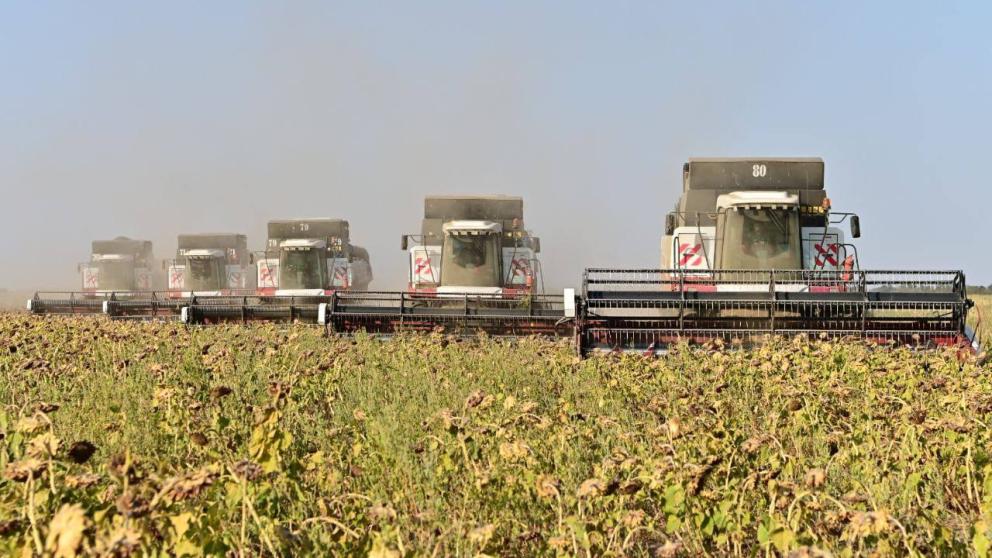 Прикумье приступило к уборке подсолнечника на масло