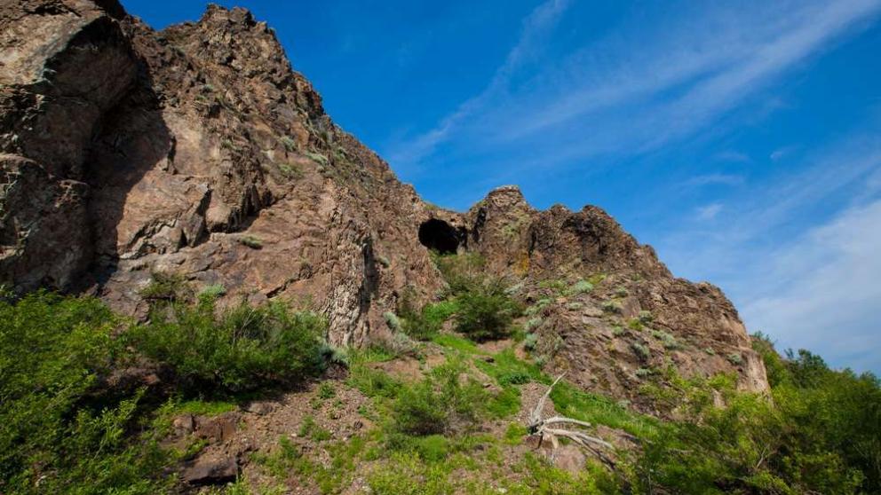 На Ставрополье почти 60 памятников природы получили паспорта